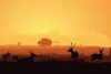 Deer, Hind Wallpaper 0225