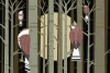 Birds In The Forest Wallpaper 0224